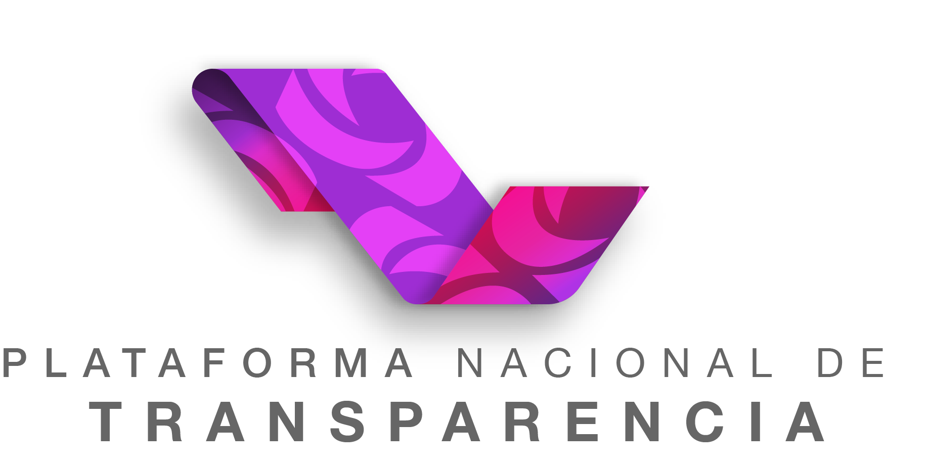Plataforma Nacional de  Trasparencia